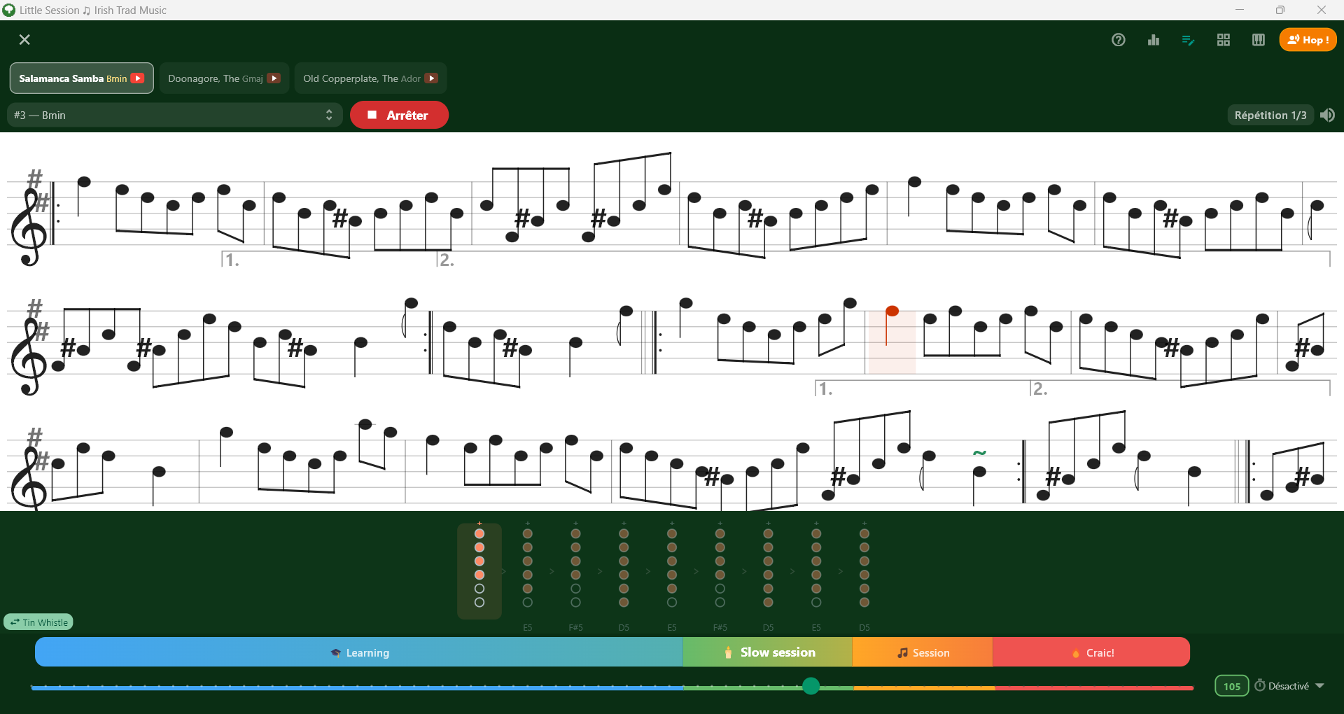 Set player avec doigtés tin whistle
